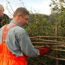 09national hedgelaying championships DSC_5953