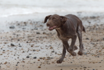 islay full tilt salthouse4SW3_4419